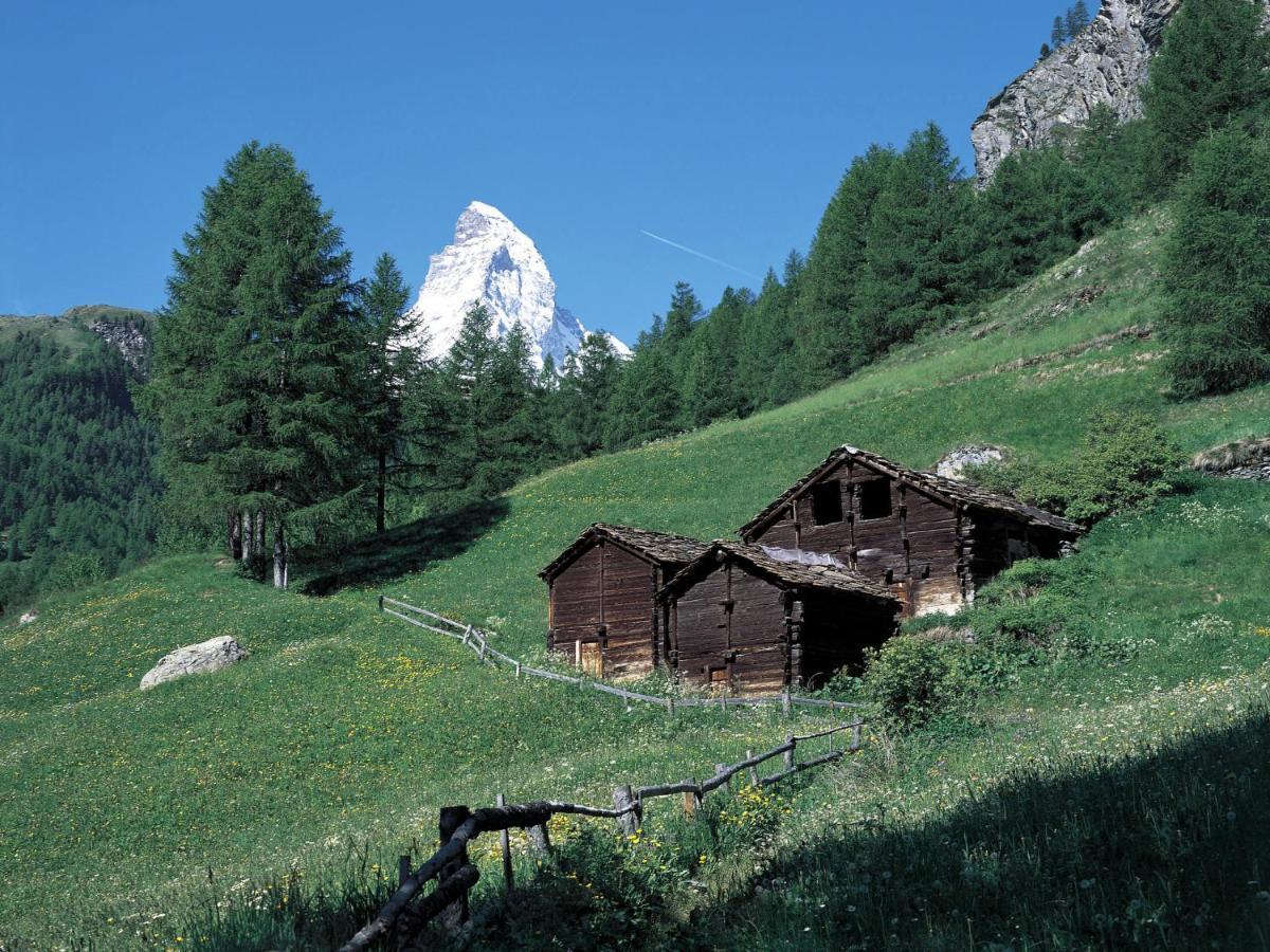 Apartment Pasadena By Interhome Zermatt Exterior photo